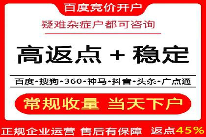 案例研究：关键词竞价排名实战技巧